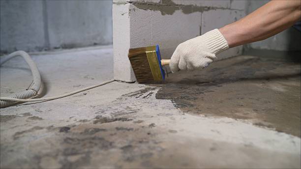 SJ Waterproofing Pros Waterproofing coverage map for Rogersville, TN and surrounding area
